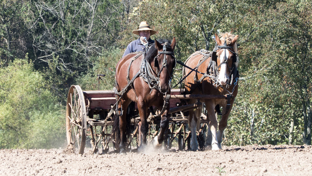 Howell Farm wheat planting