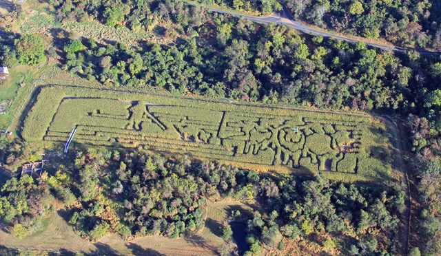 Corn maze aerial