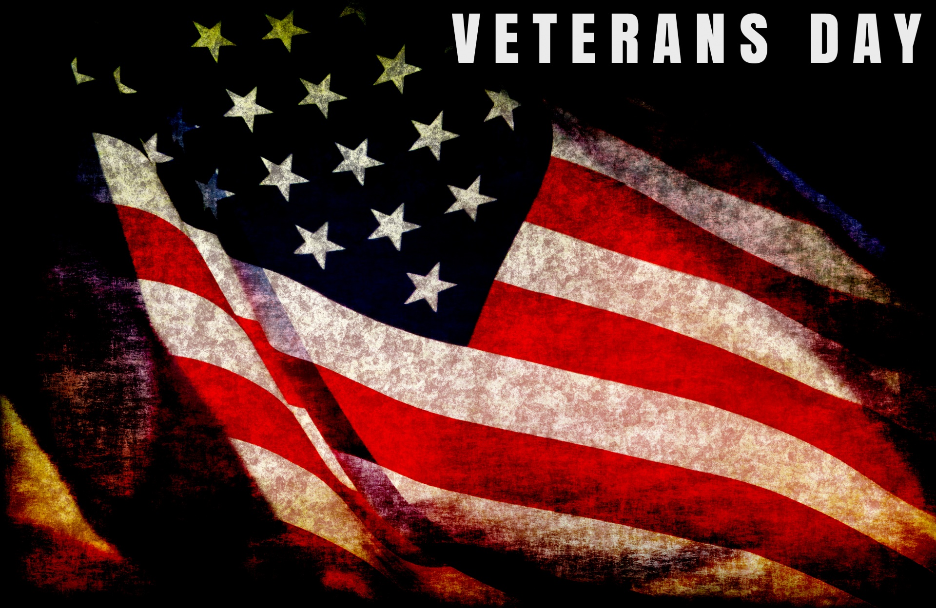 Veterans Day image