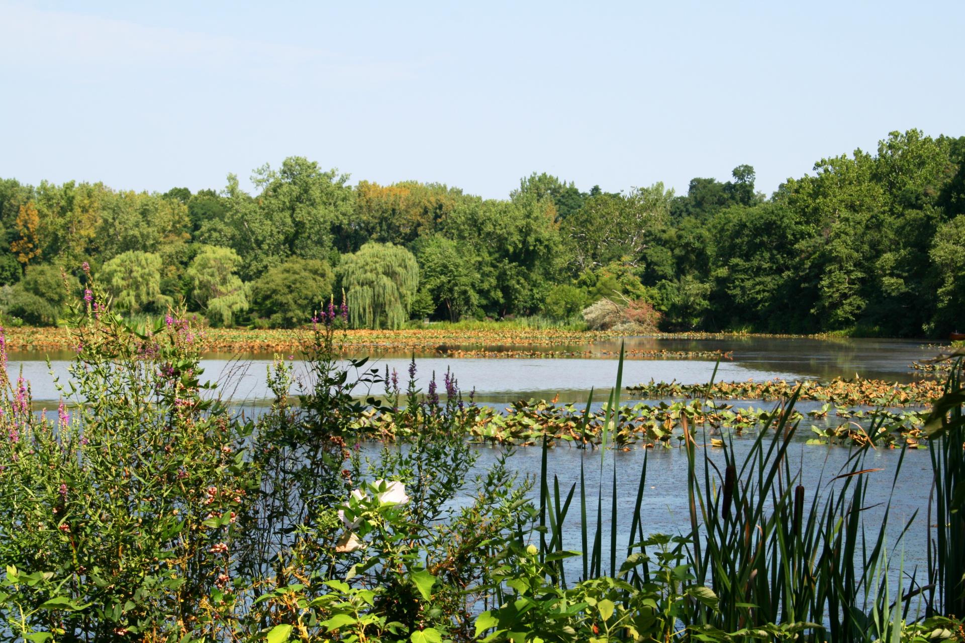 Roebling Park