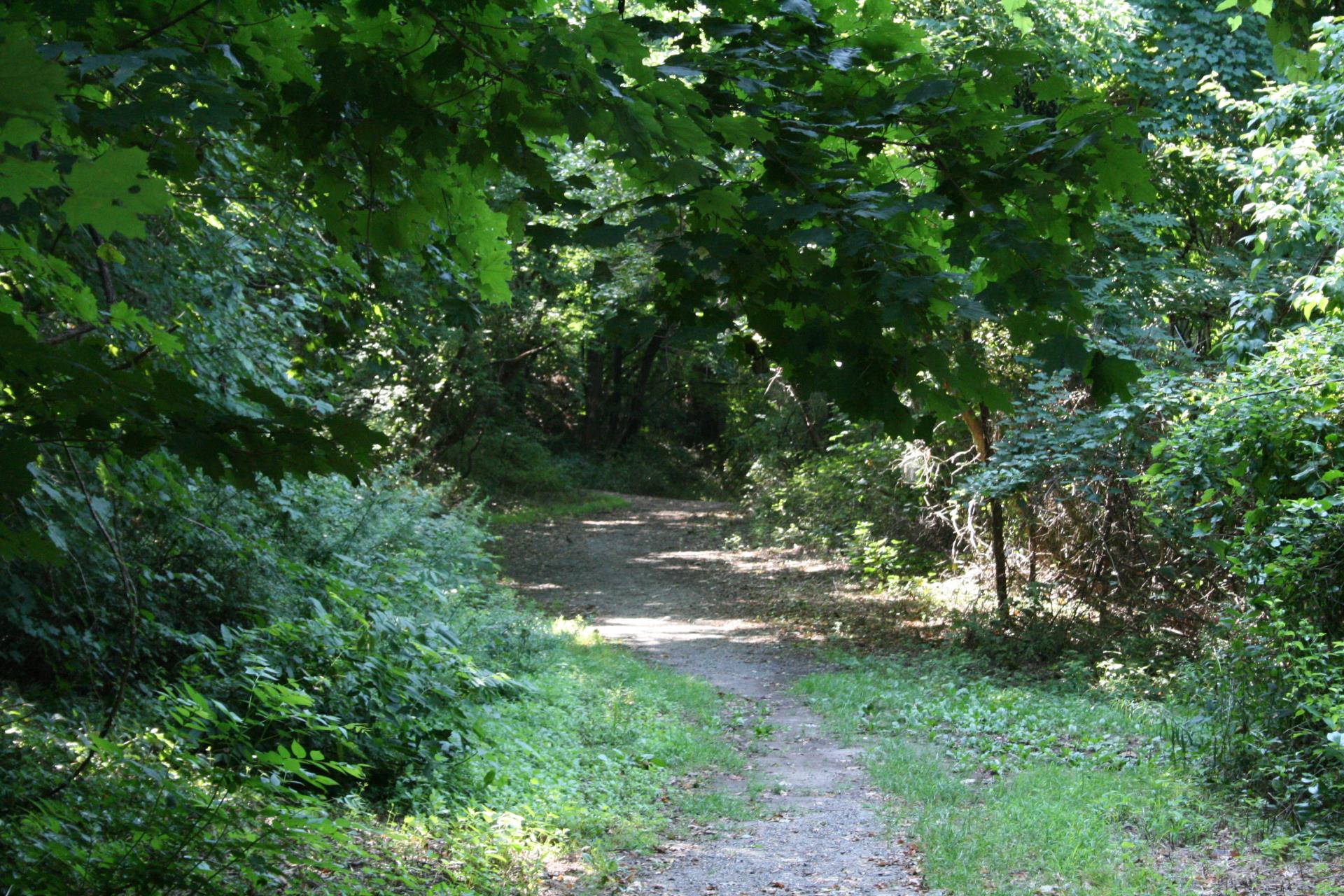 Roebling trail