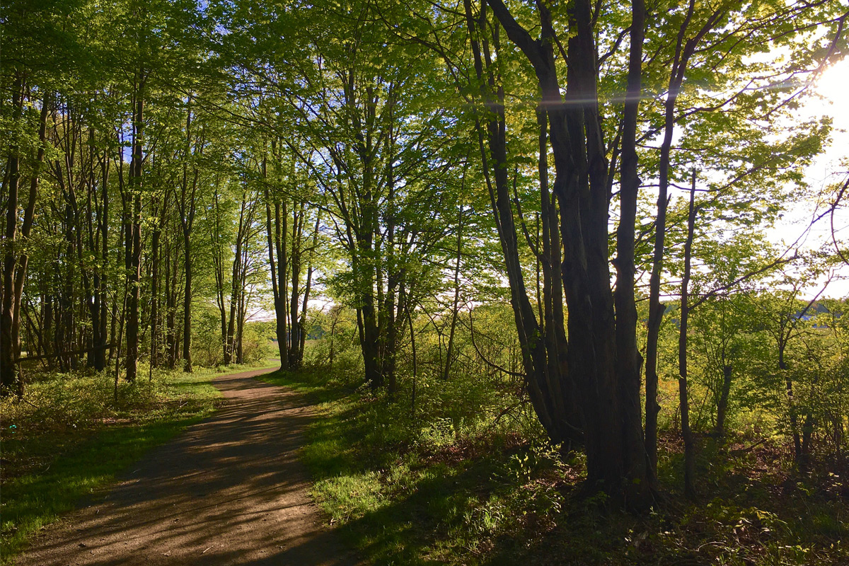 Trails Day Sensory Hike