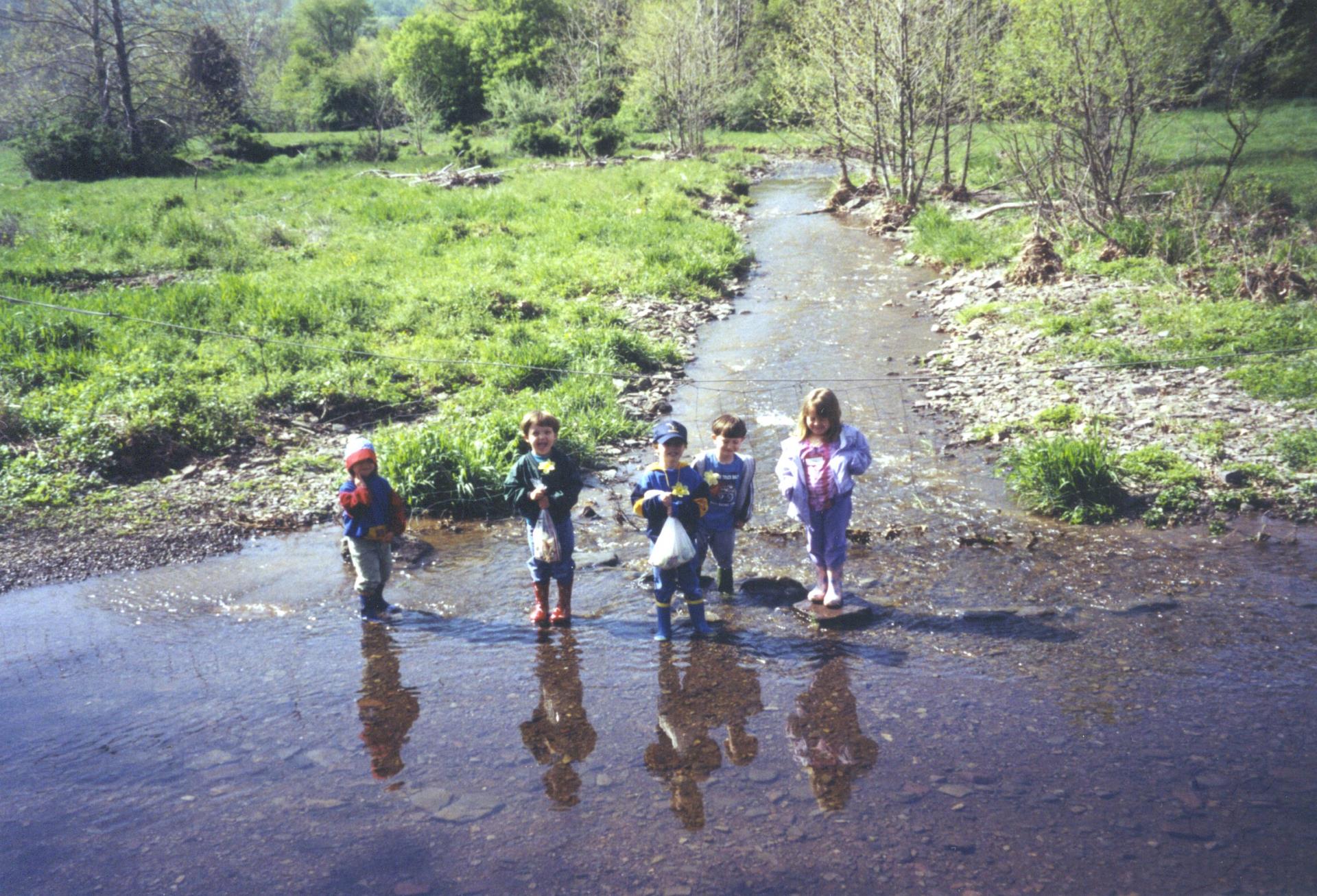 Hatchery program