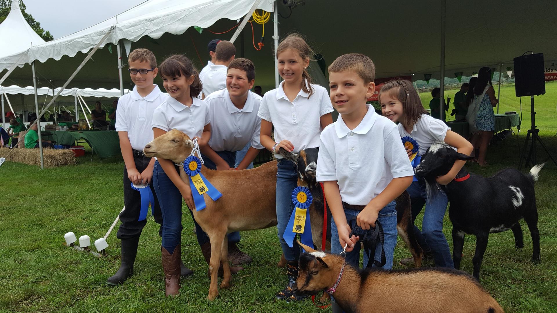 4-H-goats