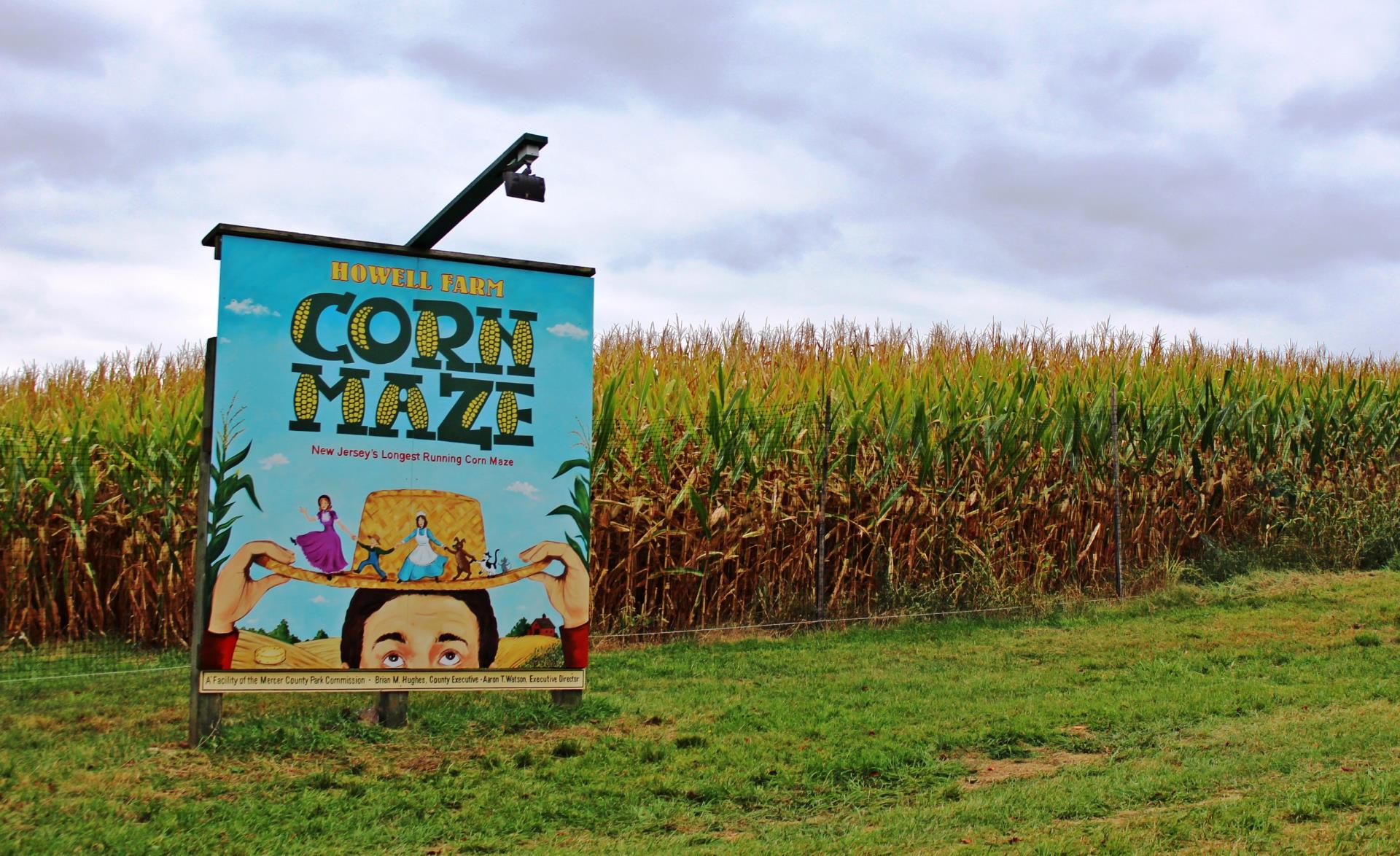 corn-maze