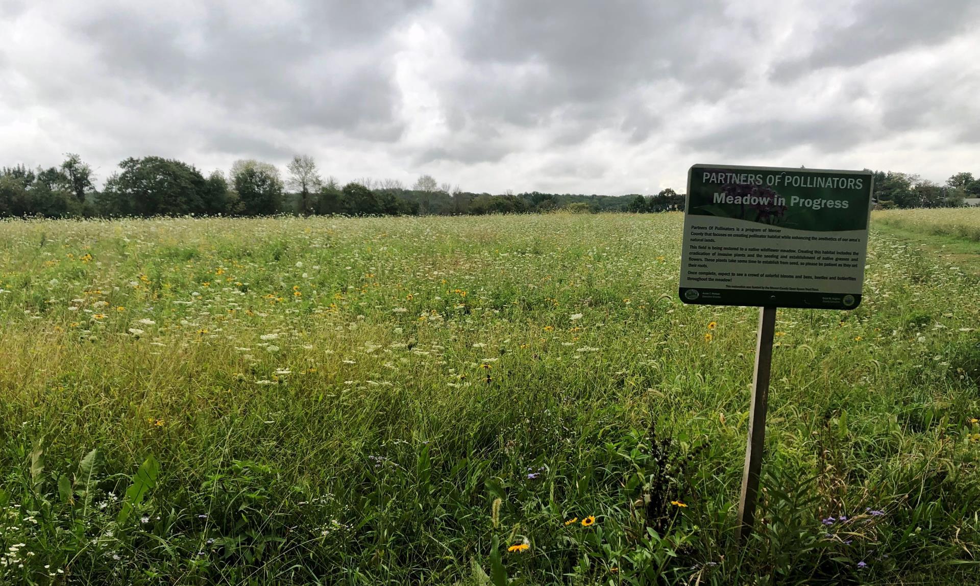 Hopewell Borough Park Meadow Sept 22 2021